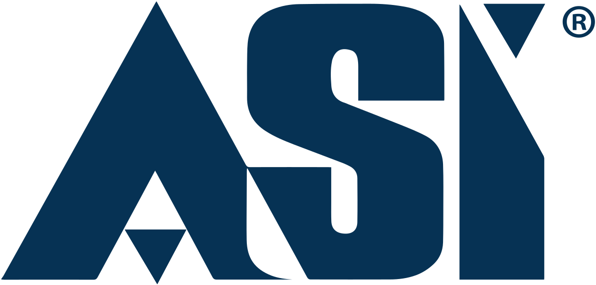 ASI — American Strategic Insurance